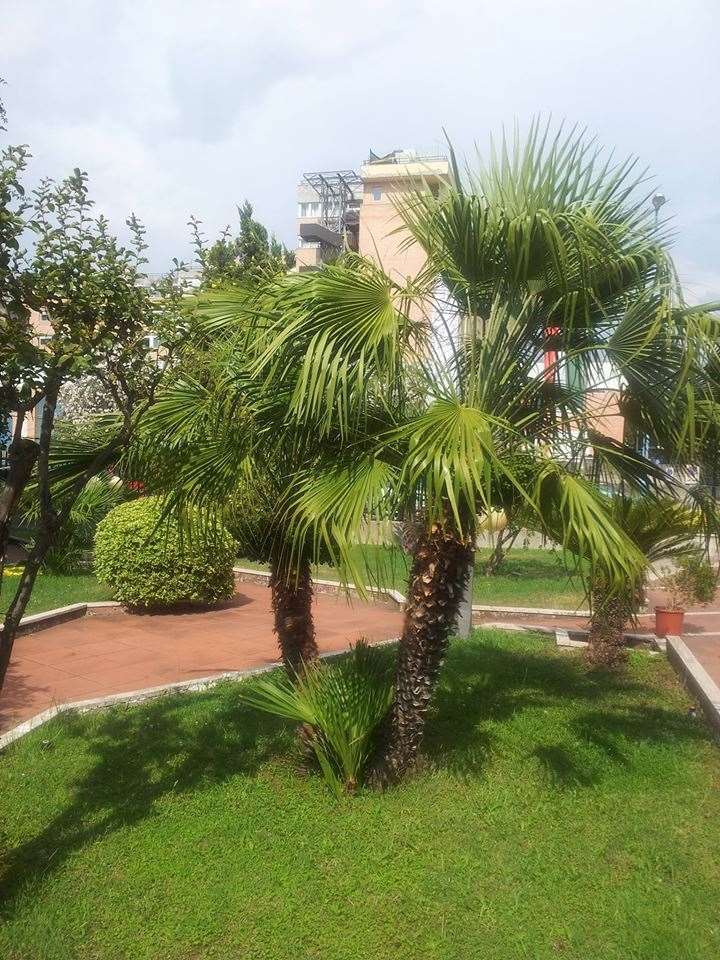 לטינה Hotel De La Ville Central מתקנים תמונה
